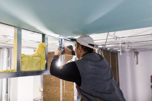 Best Insulation Maintenance and Repair in West Perrine, FL